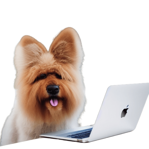 Websites for Dog Brands