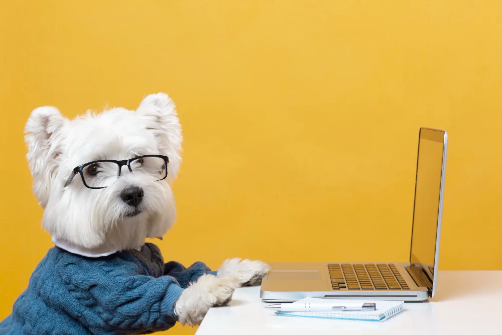 E-Commerce for Dog Products