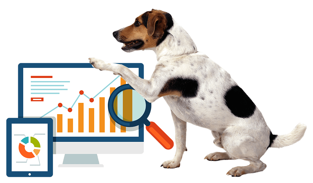 google ranking dog business