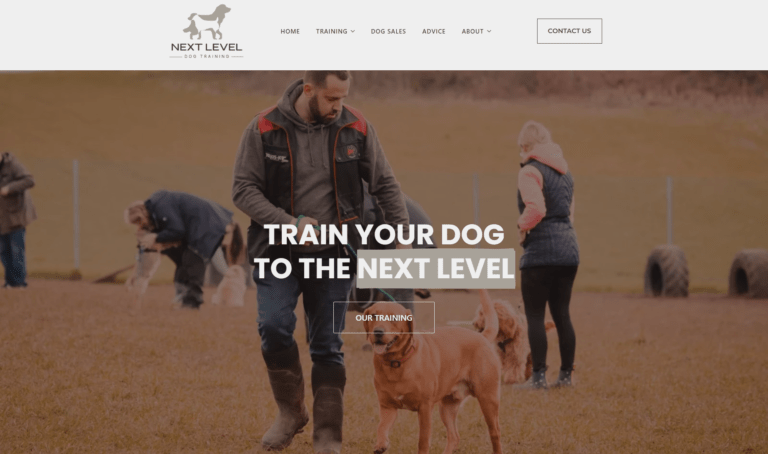 Next Level Dog Training Case Study