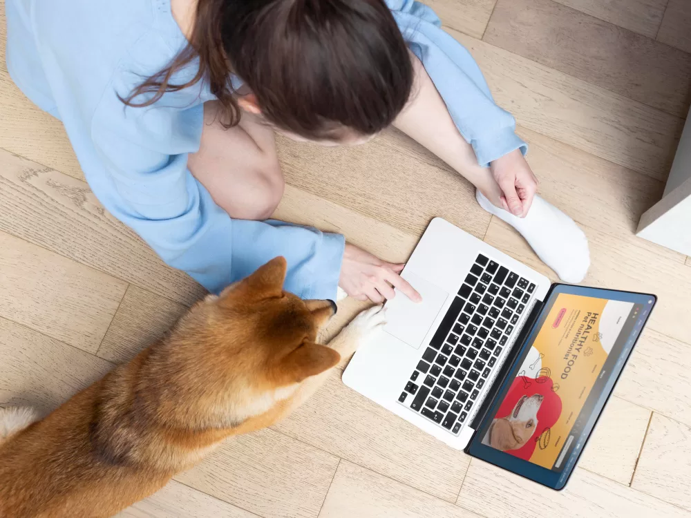 10 reasons why your dog business needs an online presence