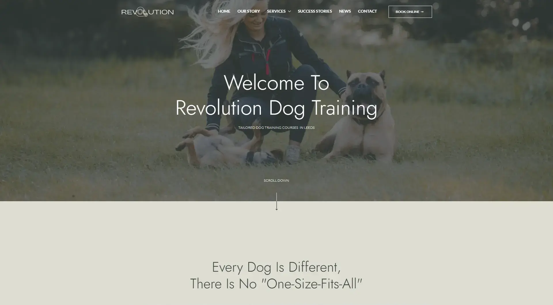 Revolution Dog Training