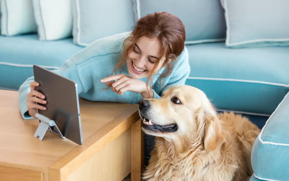 the future of social commerce in the dog industry