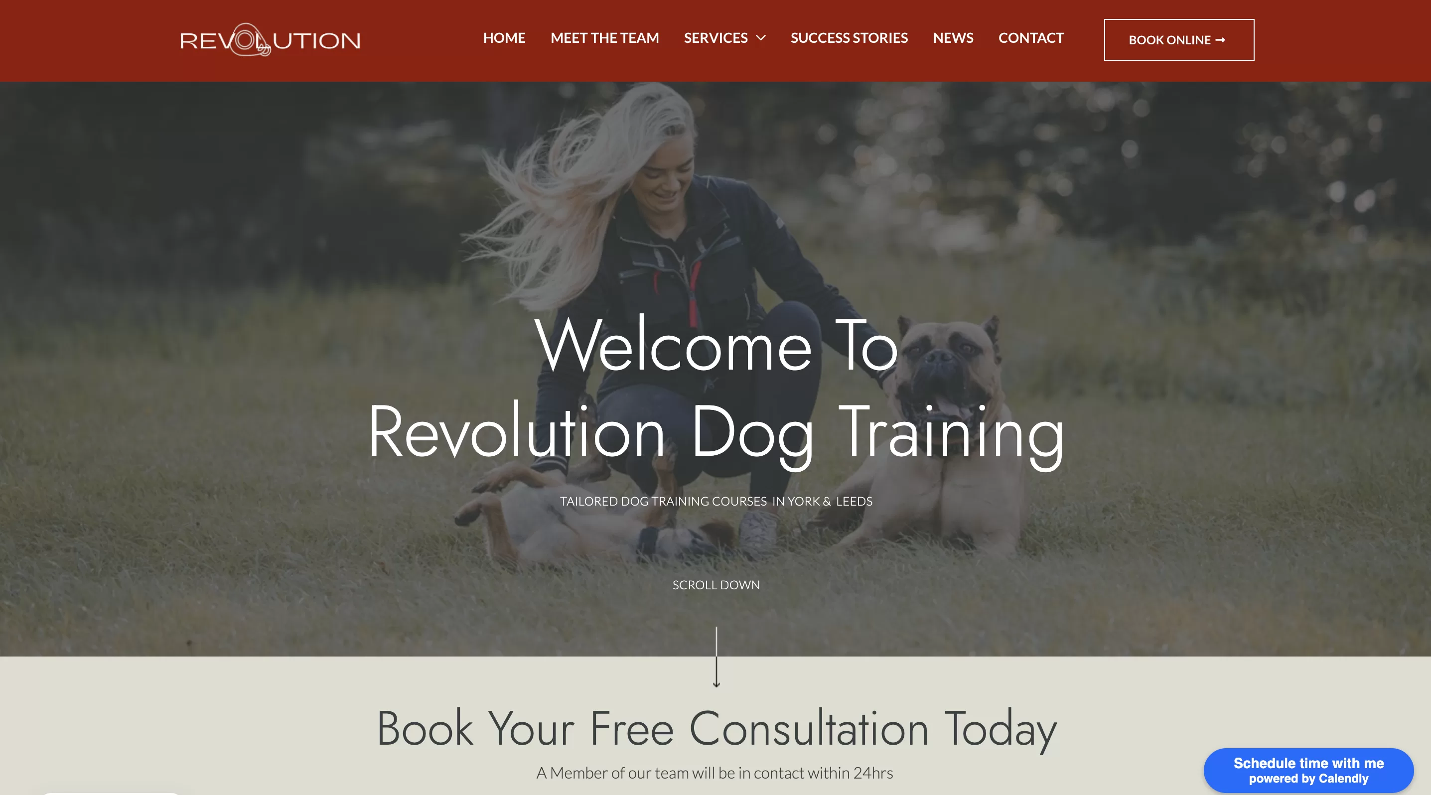 Revolution Dog Training