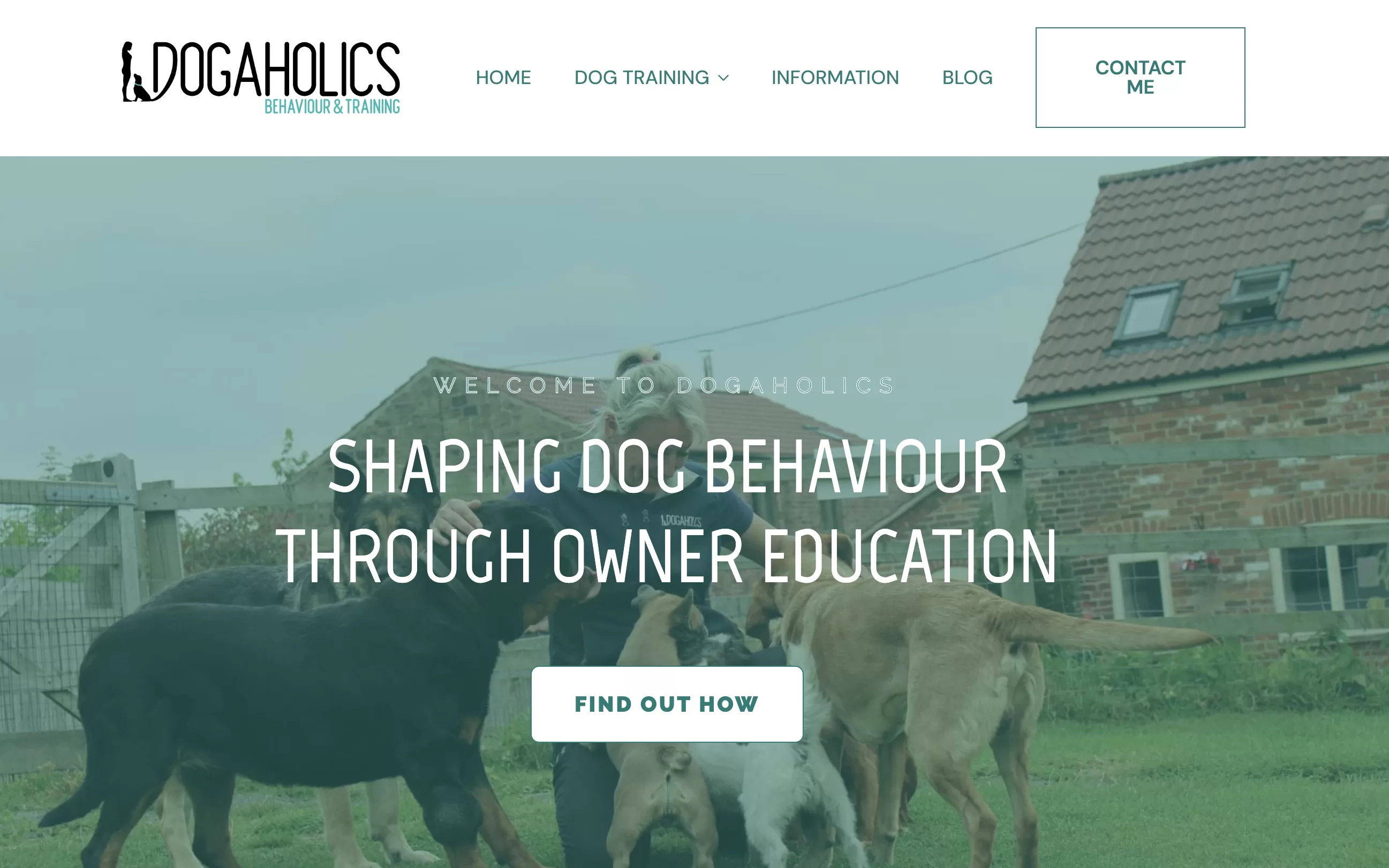 Dogaholics Website