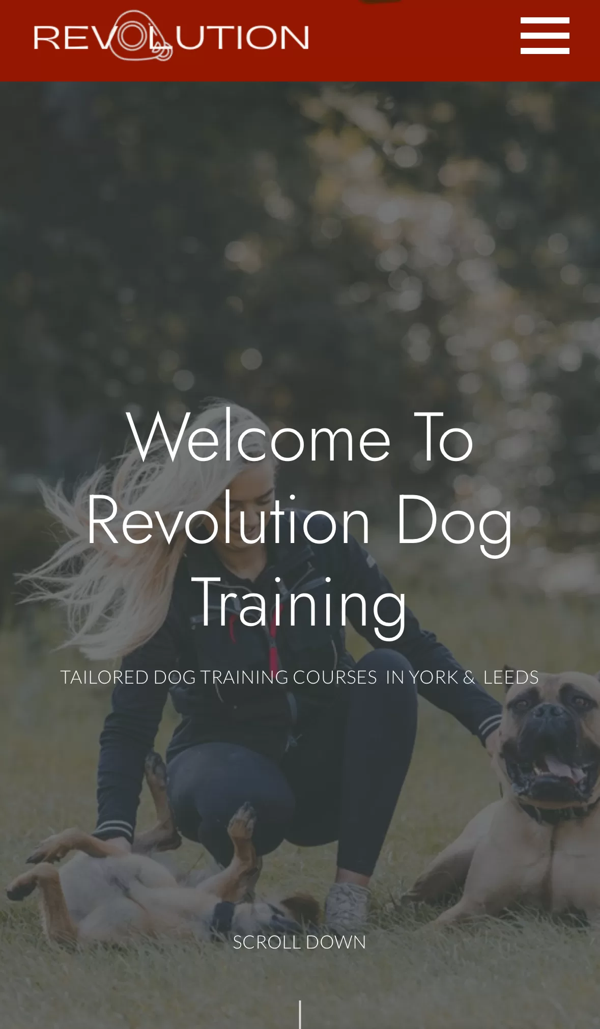 Revolution Dog Training Mobile Website